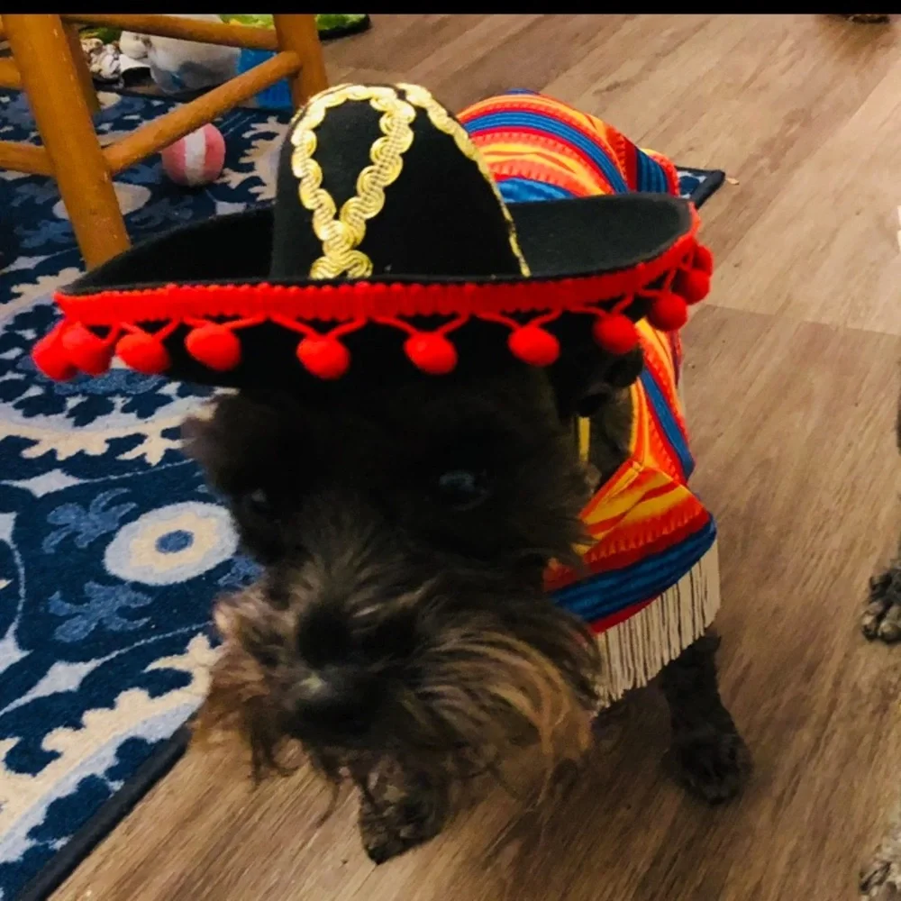 Dog Costume with Hat